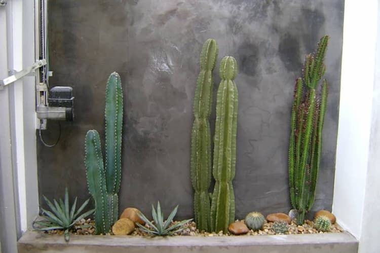 cach trang tri tuong xi mang 8